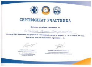 2017-4