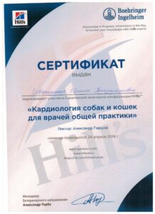 2019-2