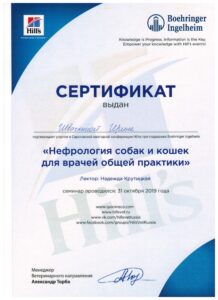 2019-3